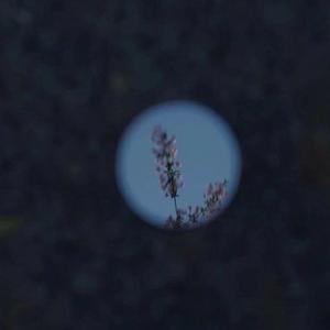 人妖自慰排精大全
